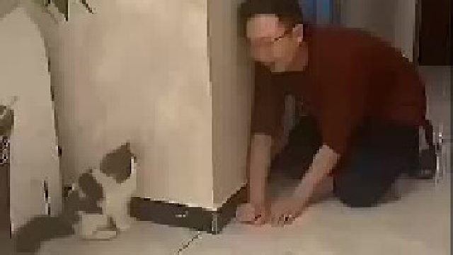 原来这才是真正的躲猫猫游戏