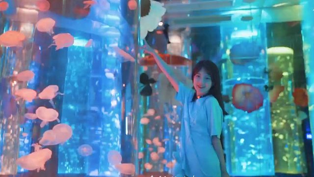 再内耗就出家 艾特今年夏天要和你去看海的人