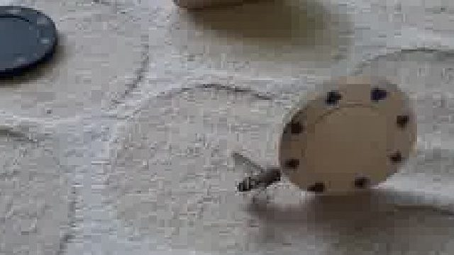 训练了一天一夜的苍蝇终于出师了