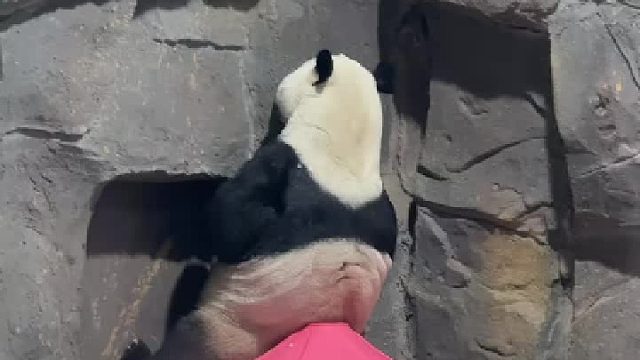 灵岩是不是闯祸了？自己在这面壁思过呢