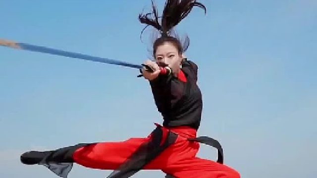 江湖傲 侠女笑 一壶杯中酒 两把红尘剑 策马扬鞭追风起 仗剑执行走天涯。