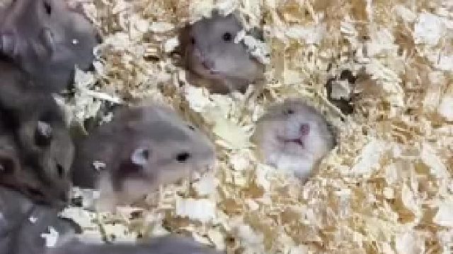 我和我同事上班时的精神状态