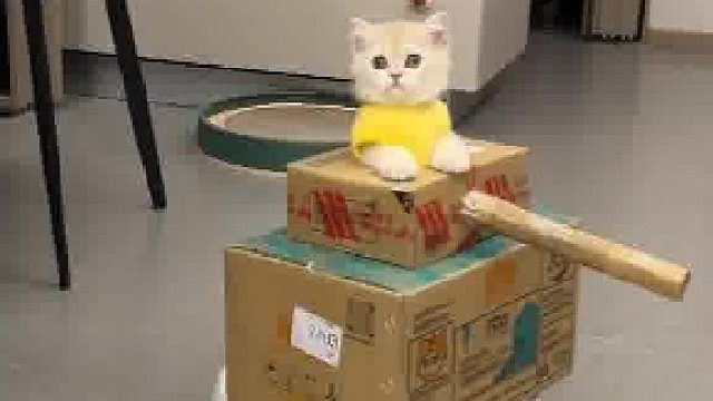 咪咪坦克可爱捏
