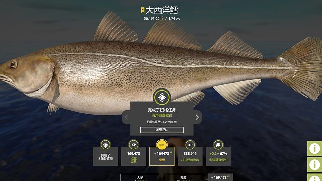 77引8分钟强锁56k大西洋鳕