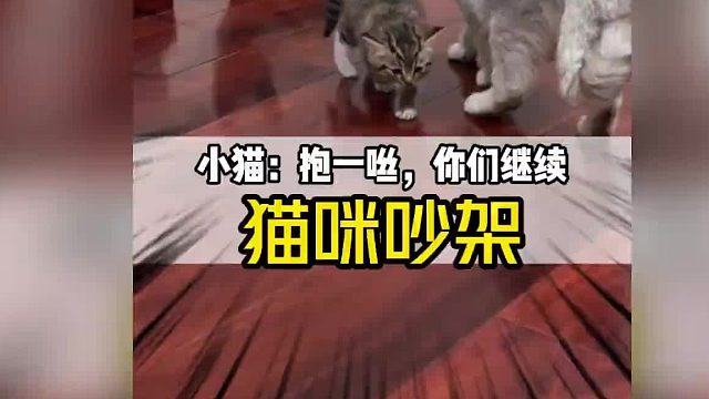 吵架就吵架，这么还摇人呢