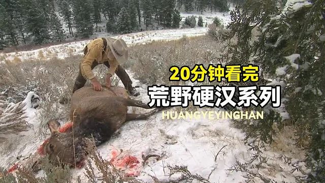 荒野硬汉系列：汤姆荒野捕捉巨型麋鹿，猎人百米外狩猎河狸！