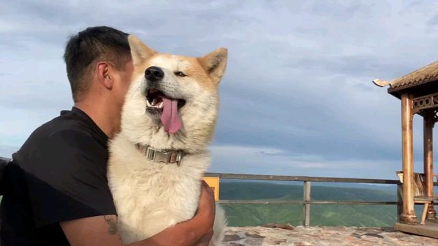 世界那么大我们想一起走走，哪怕是狂风暴雨，也无法阻止我们前进的脚步