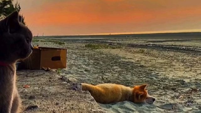 最美的风景在路上，落日余晖映晚霞一抹夕阳美如画