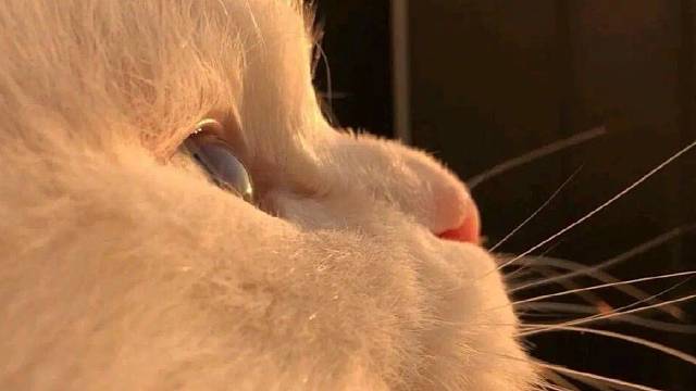 从未想过如此平凡的我，也能够得到庇护和偏爱！谢谢我的所有宝宝们～