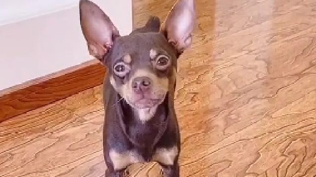 我要下楼，装备准备完毕