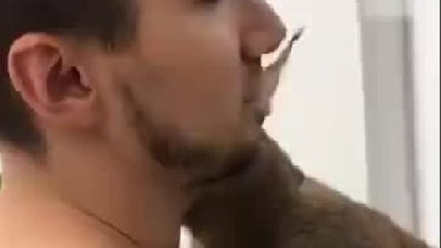 人类别怕，我就想和你培养一下感情