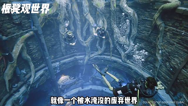迪拜深潜基地有多么梦幻