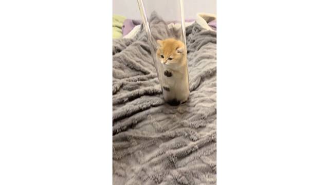 @从陌生人到陌生人