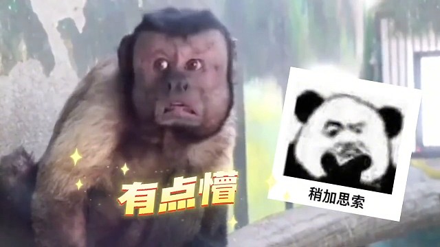 元梦之星最新地图体验二！