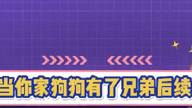 这后续不就来了吗，土豆还上门解释