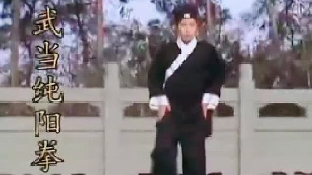 拥有梦想只是一种智力，实现梦想才是一种能力。