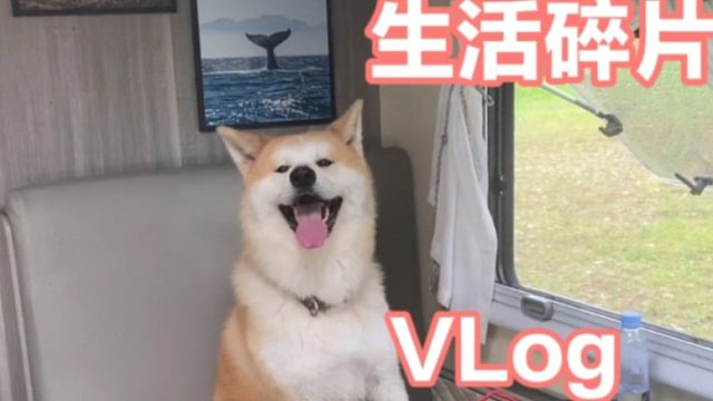 荒凉的草原拍摄银河，伸手不见五指，背后阵阵发凉