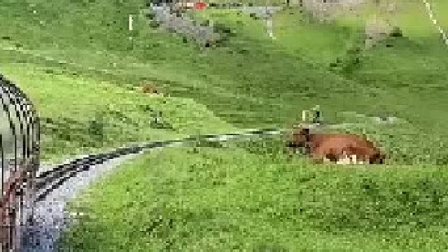 这环境太好了！！！看的我好心动