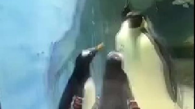 这家庭教育服了，教训完孩子，还要让孩子鞠个躬