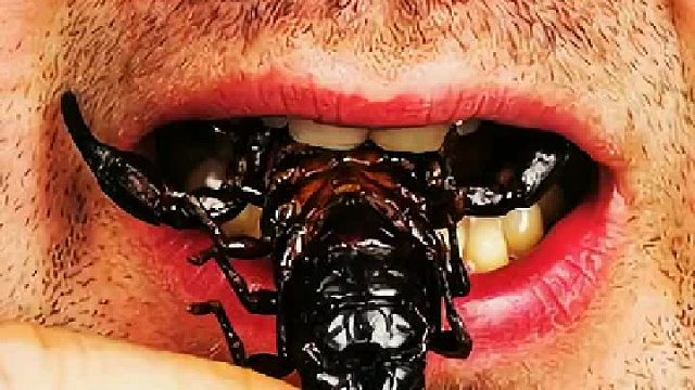 寄生虫最多的几种食物，它们分别是什么？