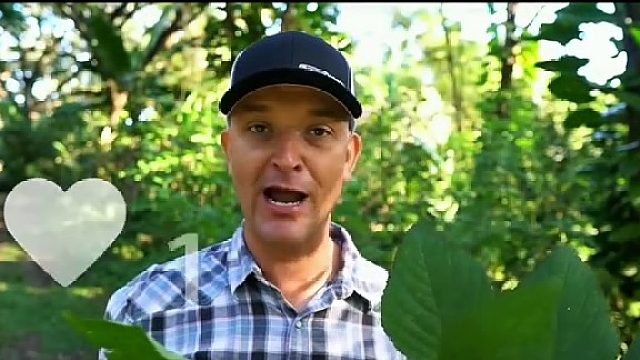 世界上最du的几种野菜是什么？