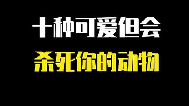 盘点可爱又很危险的动物