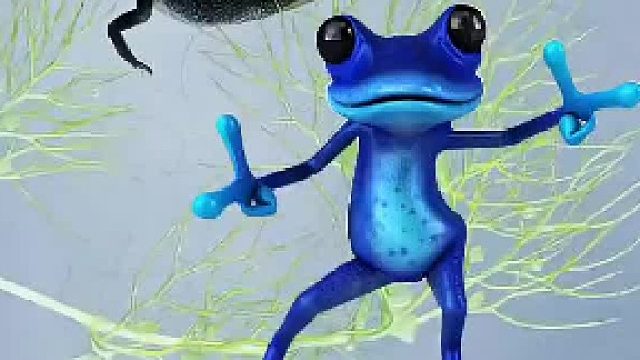 小蝌蚪长大后有可能不是青蛙？