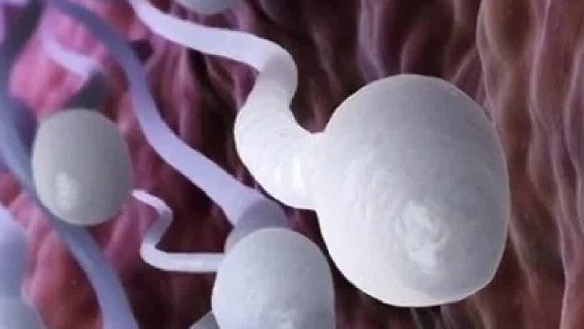 J子是如何诞生的？你知道吗？