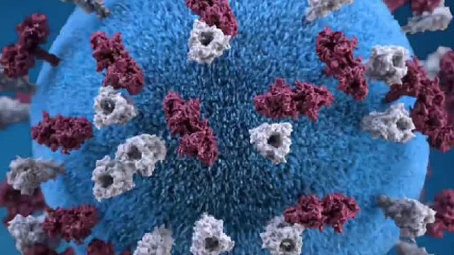 病du其实对人类不只是坏处！！