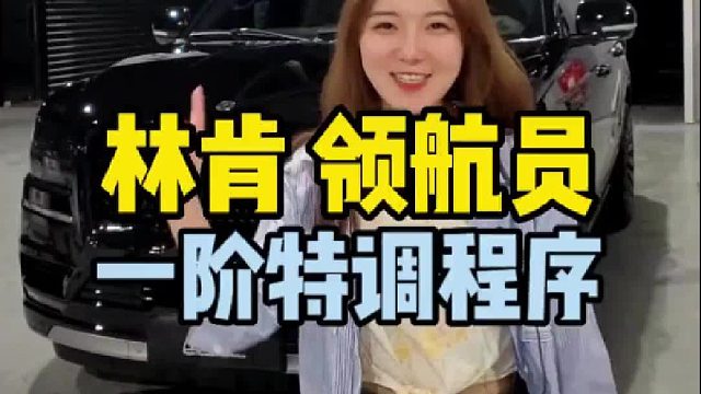 林肯领航员 一阶特调程序