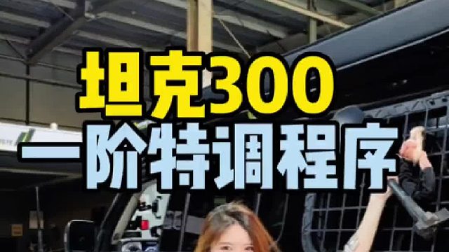 坦克300刷一阶特调程序，ecu动力升级