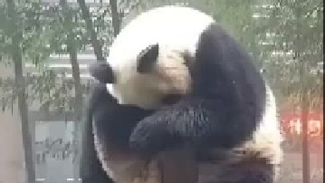 据说，这就是你心事重重时的样子