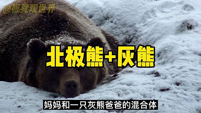 杂交物种时代来了？