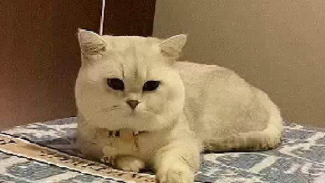 这孩子憋疯了。。。征婚启事