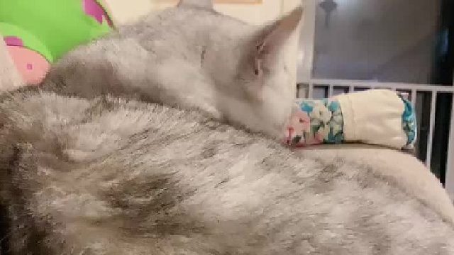 看到我满手伤痕，就知道我在这个家的地位了