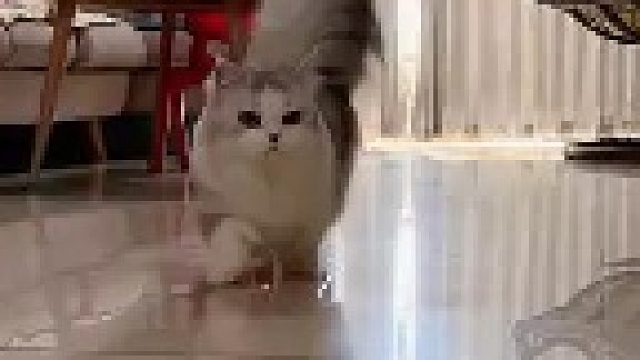 鲁班1号来了，有人认识吗？