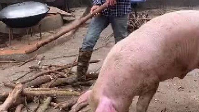 论走位的重要性