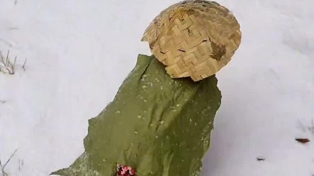 寒江孤影，相逢何必曾相识……