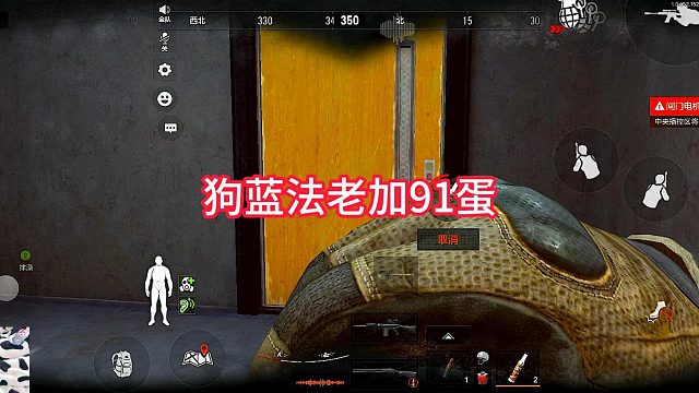 狗蓝法老加91蛋