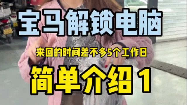 宝马解锁电脑刷程序，5个工作日完成，赶上国内快递速度了