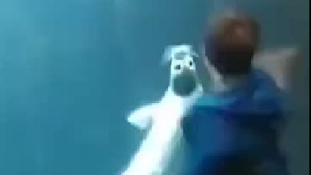 请开始你们的表演，感觉怎样？