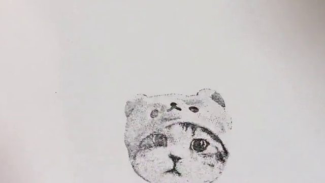 我家猫有自己的印章咯！