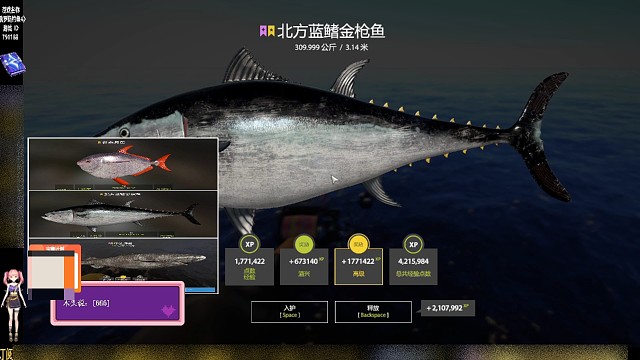 熬了三个月又见星金枪