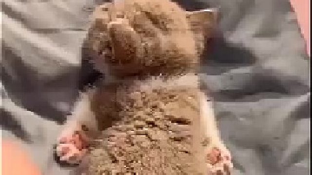 这谁顶的住啊，啊，啊。。。