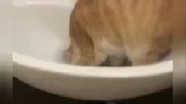 这是在修理管道吗？哈哈哈哈哈...