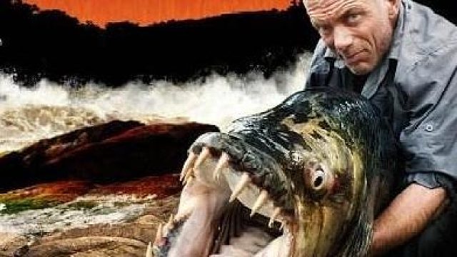 想学啊？我教你呀！-片段2