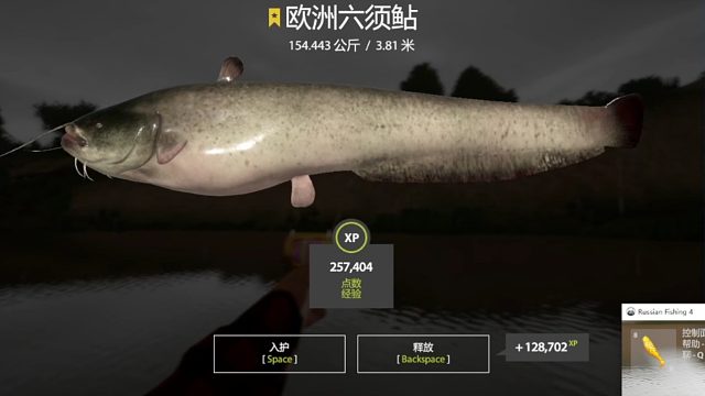 新的一天从打猪开始