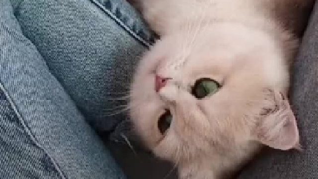 “ 贤妻良母 … ”