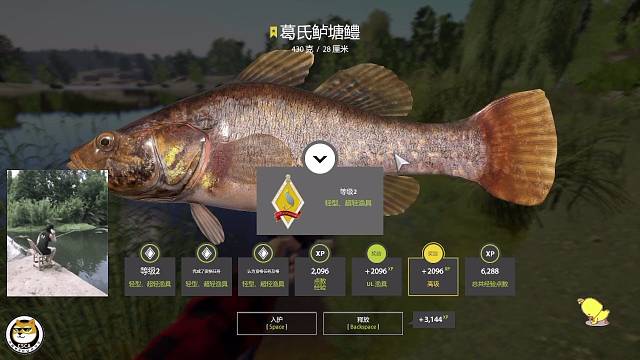 ㊗️：超轻，维基钓组，