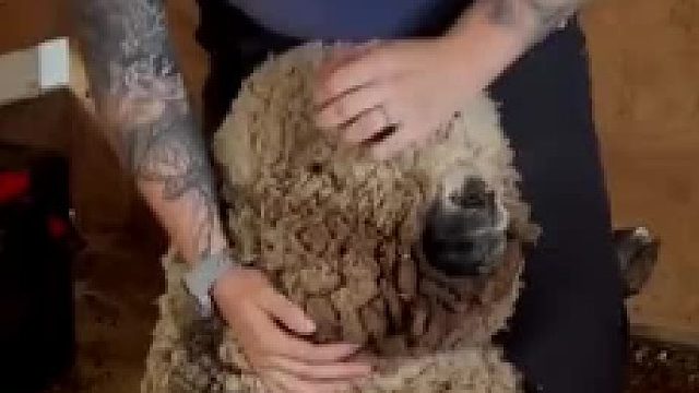 他什么都没说，上来就脱我大衣